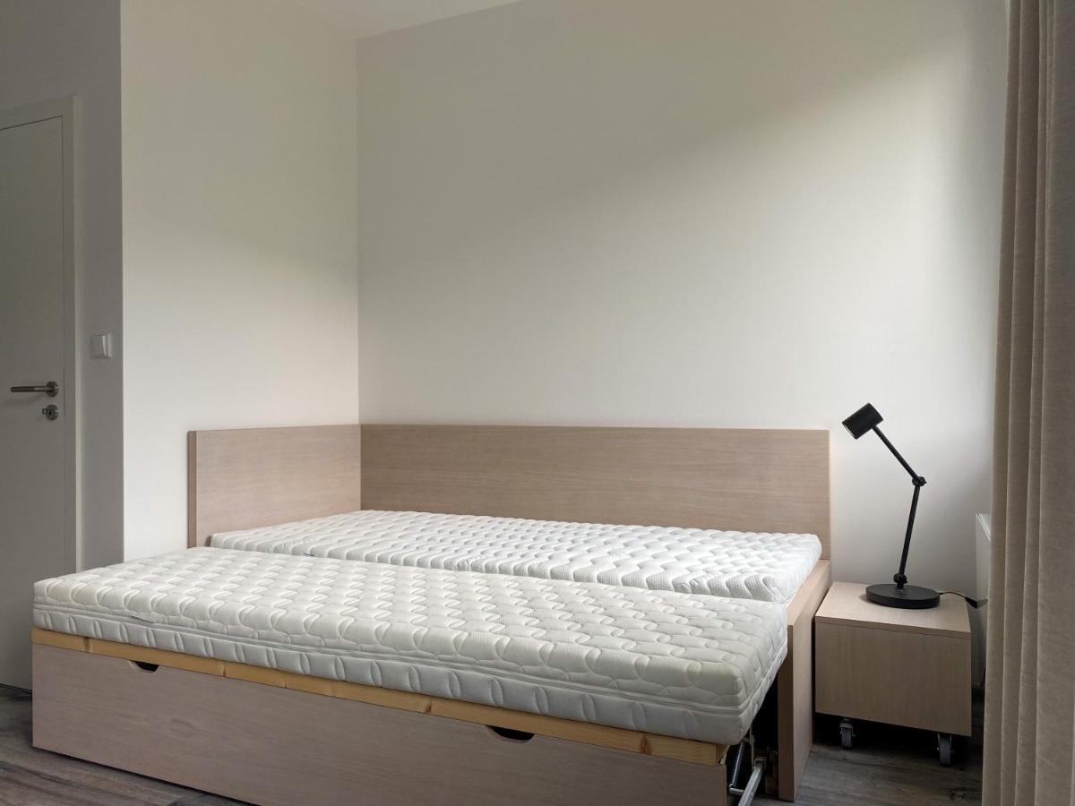 Apartman Luel Dolní Morava Buitenkant foto