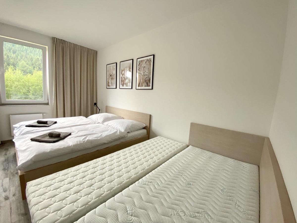 Apartman Luel Dolní Morava Buitenkant foto